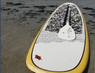  Rent paddle surfing equipment 